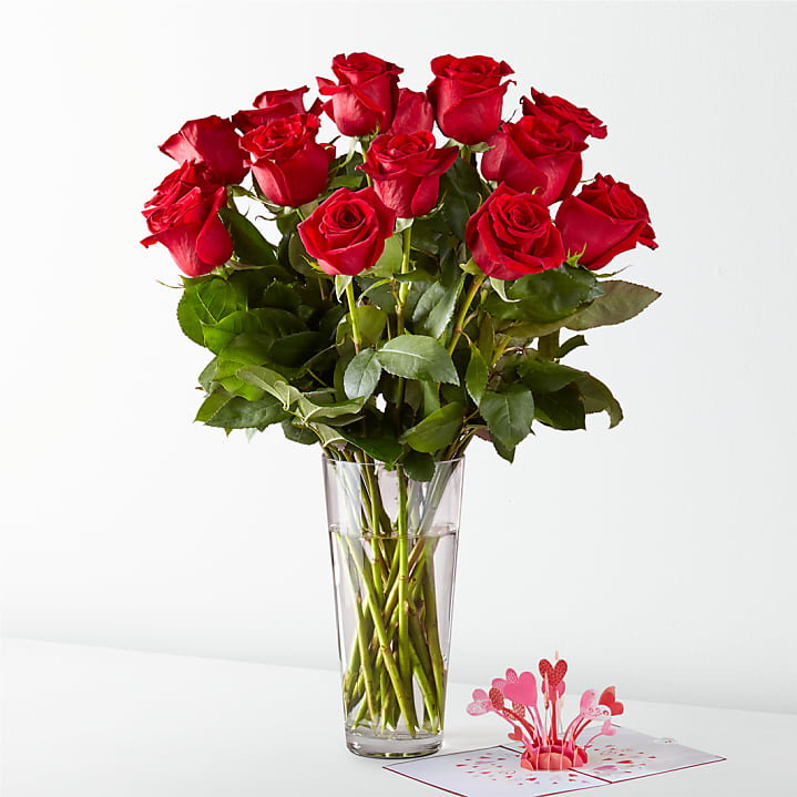 product image for Long Stem Red Rose Bouquet & Lovepop® Pop-Up Card