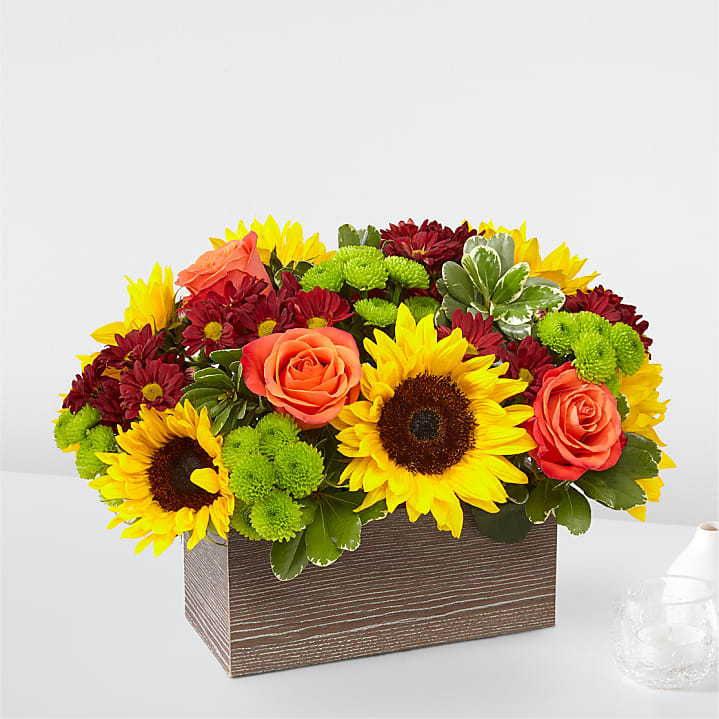 product image for Happy Harvest Garden