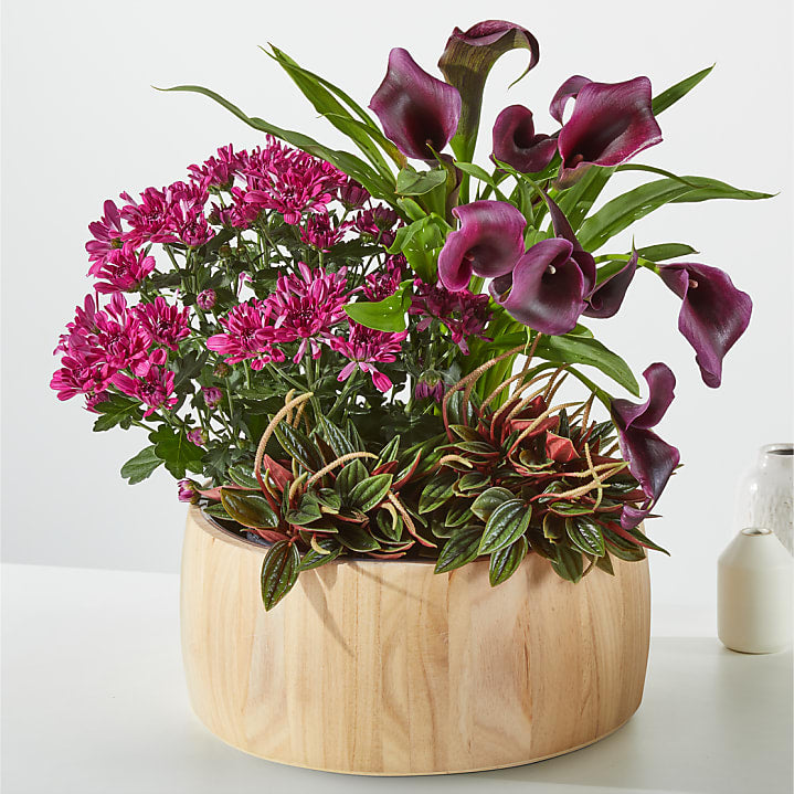 product image for Fresh for Fall Garden