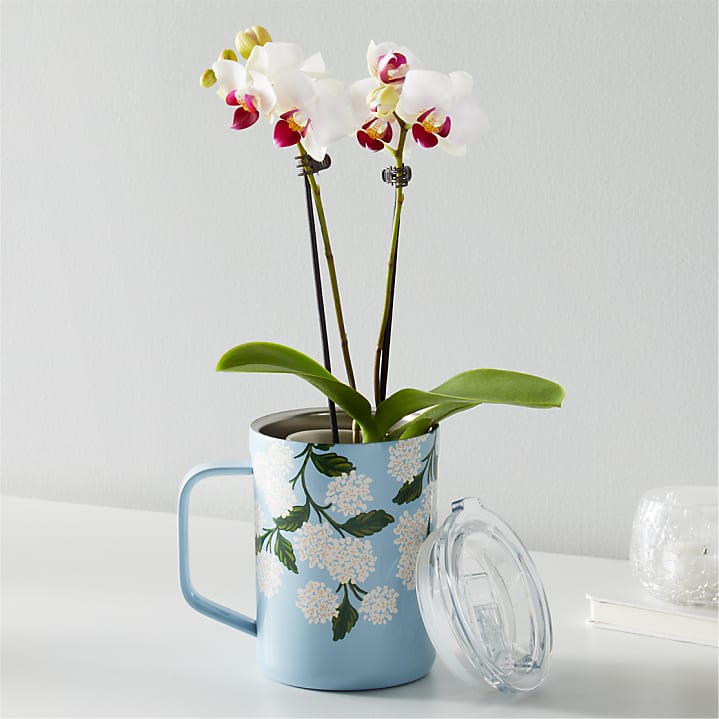 product image for White Orchid in Corkcicle® Mug