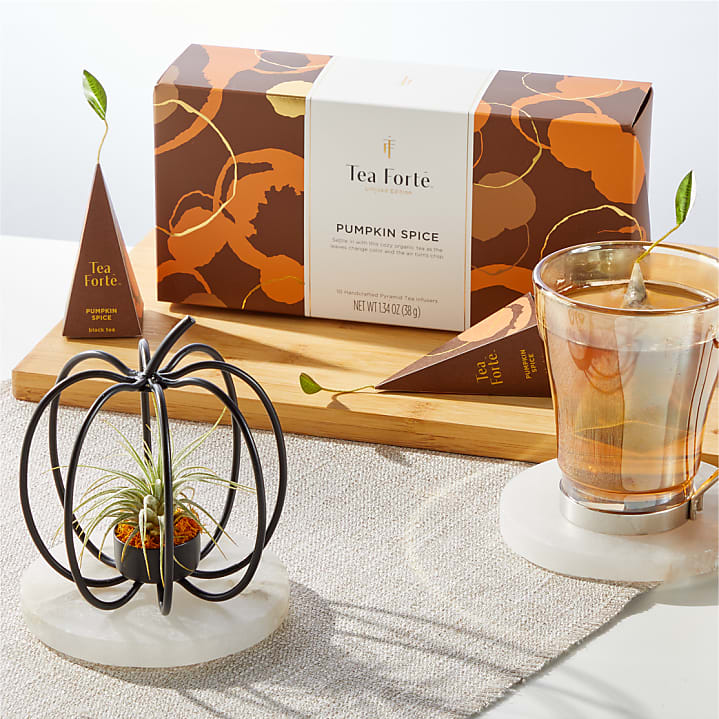 product image for Wire Pumpkin Air Plant with Tea